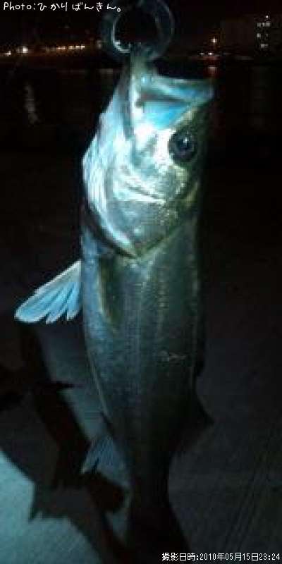 �����Х�