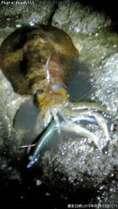 �����ꥤ��