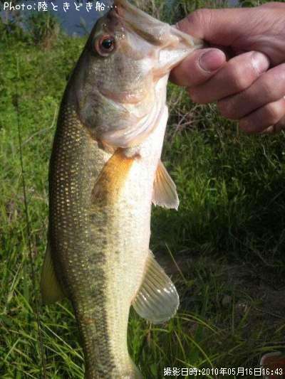 �֥�å��Х�