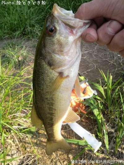 �֥�å��Х�