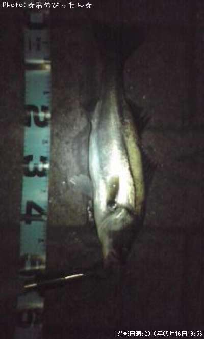 �����Х�