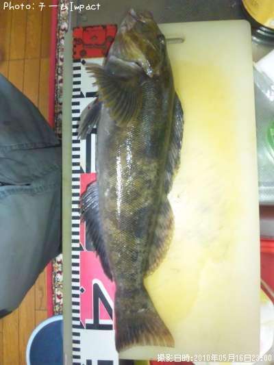 �����ʥ�