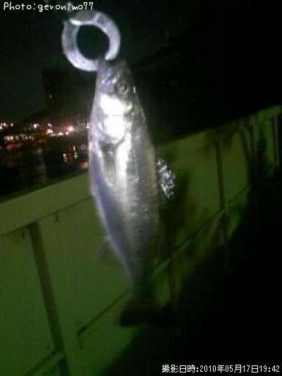 �����Х�