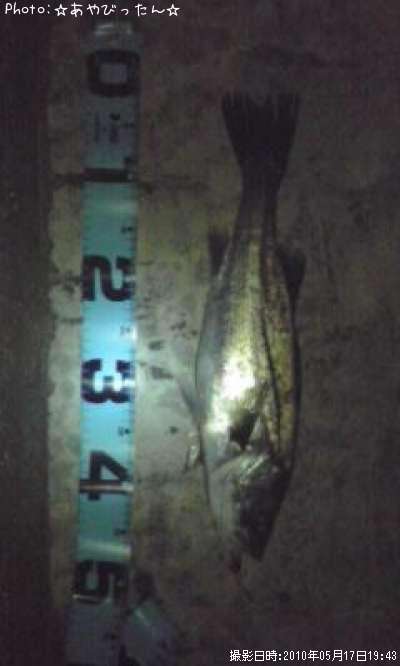 �����Х�