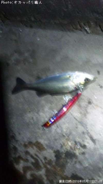 �����Х�