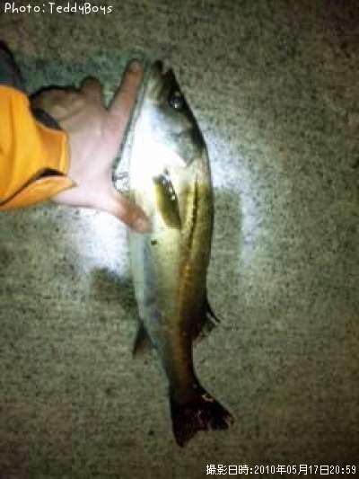 �����Х�