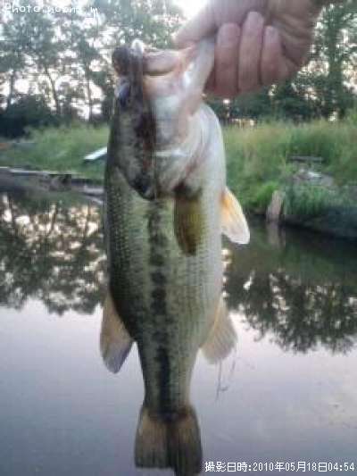 �֥�å��Х�