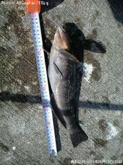 �����ʥ�