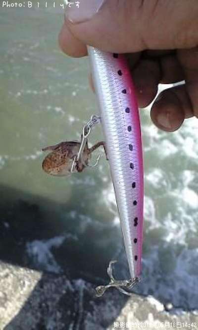 �����ꥤ��