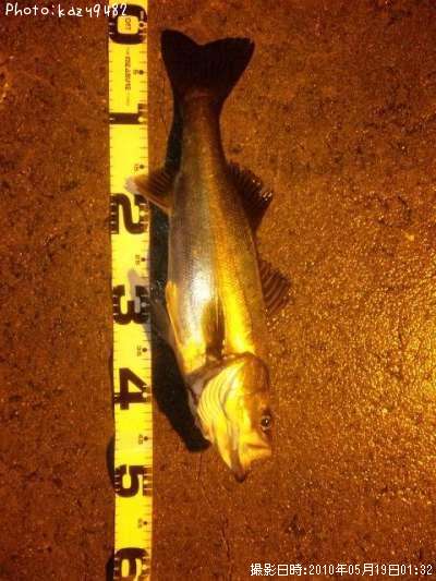 �����Х�