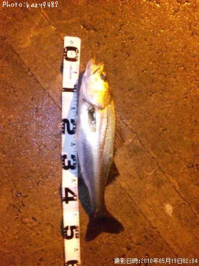 �����Х�