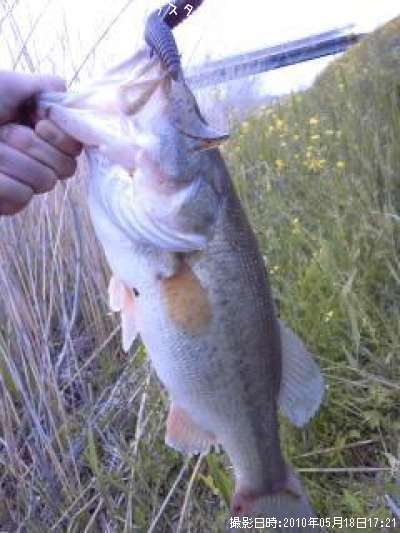 �֥�å��Х�