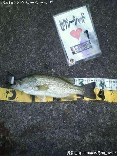 �֥�å��Х�