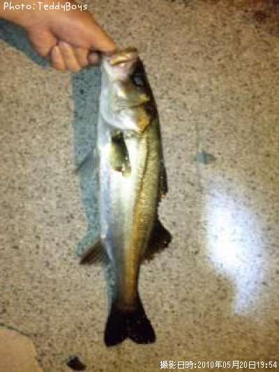 �����Х�