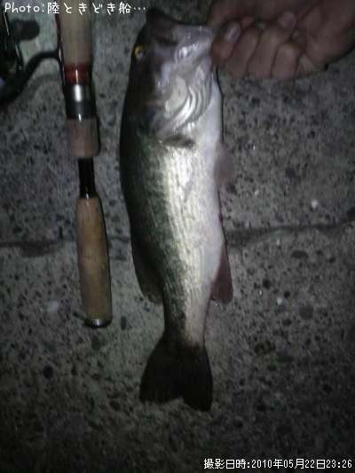 �֥�å��Х�