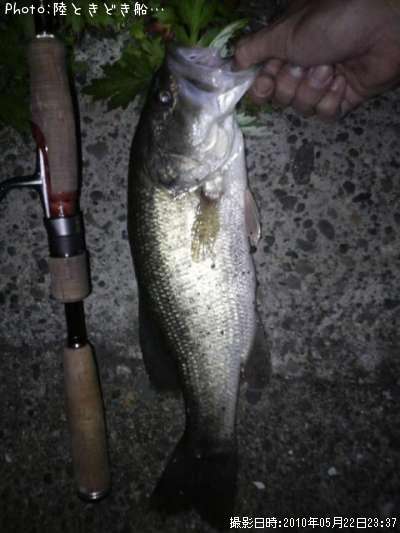 �֥�å��Х�