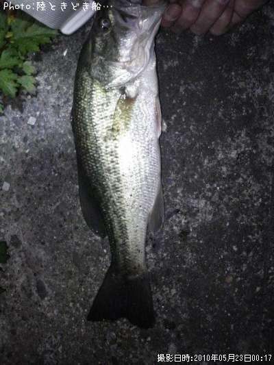 �֥�å��Х�