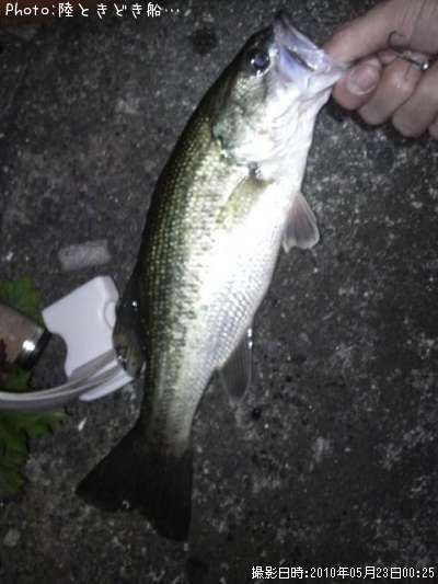 �֥�å��Х�