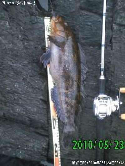 �����ʥ�