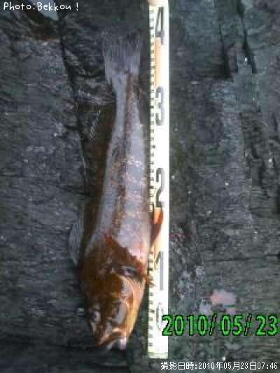 �����ʥ�