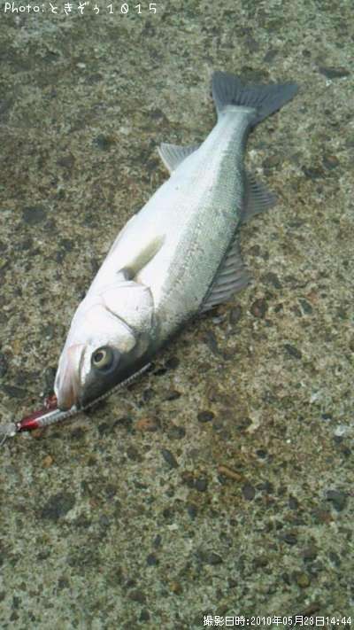 �����Х�