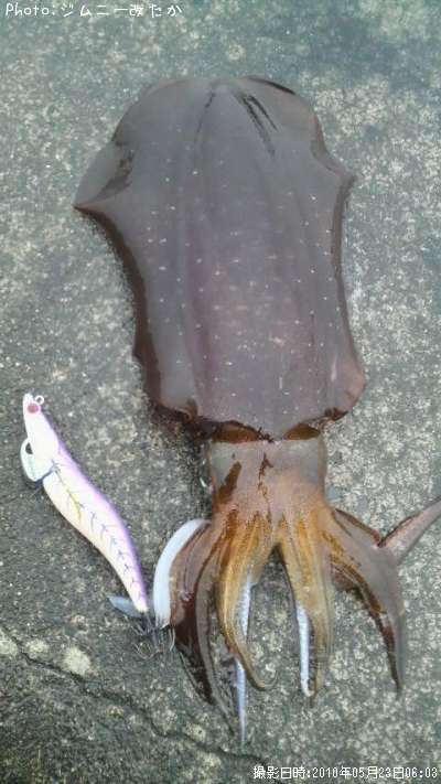 �����ꥤ��