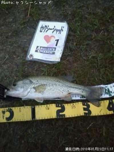 �֥�å��Х�