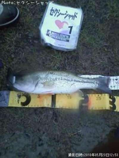 �֥�å��Х�