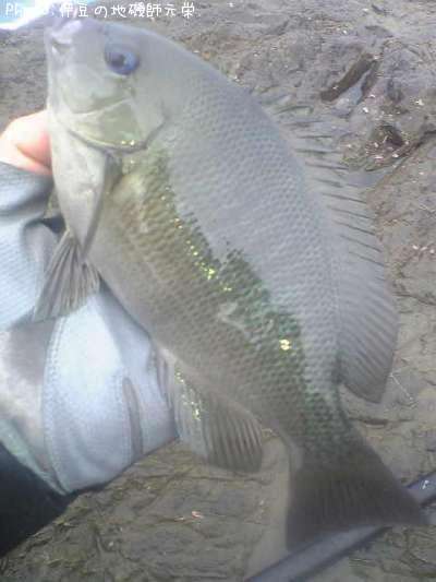 �����᥸��