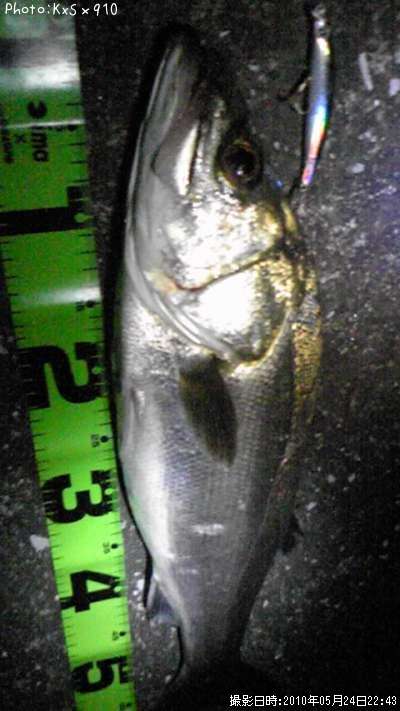 �����Х�