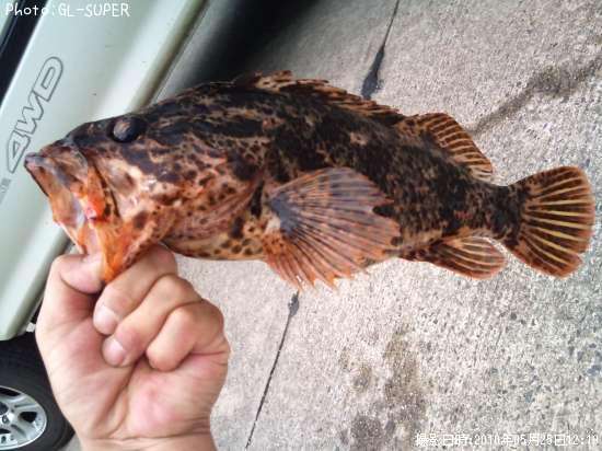 �����Υ���Х�