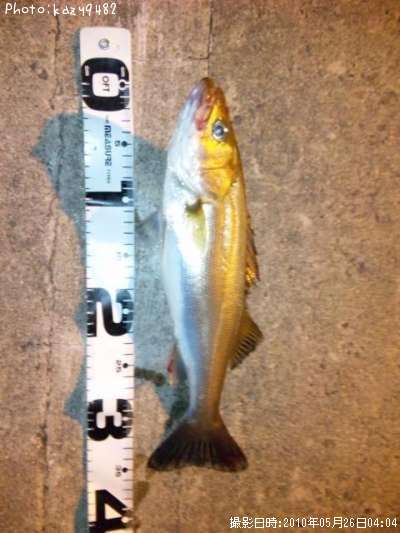 �����Х�