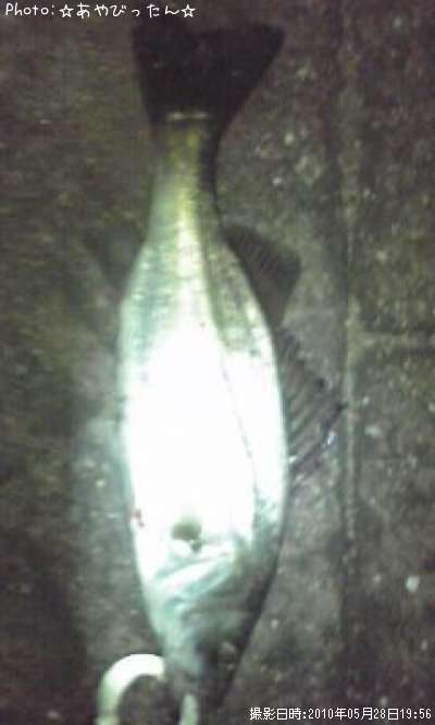 �����Х�