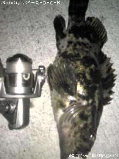 �٥å�������