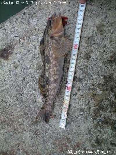 �����ʤ�