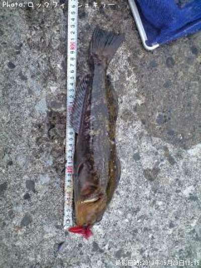 �����ʤ�