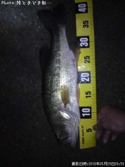 �֥�å��Х�