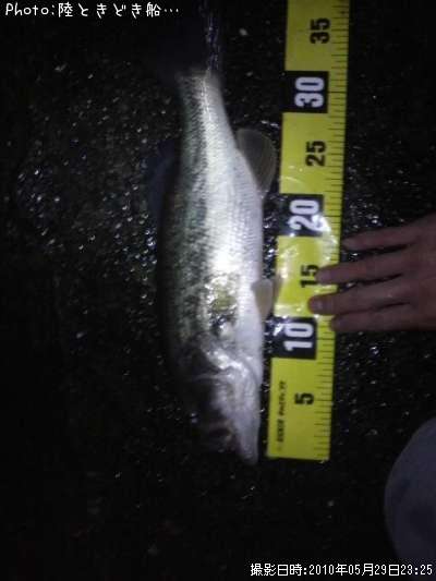 �֥�å��Х�