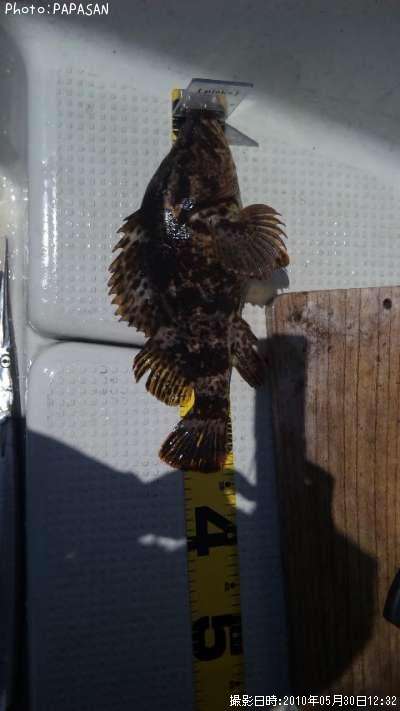 �����Υ���Х�