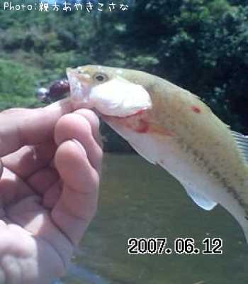 �֥�å��Х�