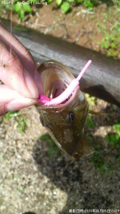 �֥�å��Х�