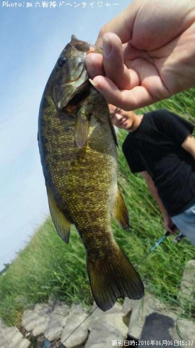 �֥�å��Х�