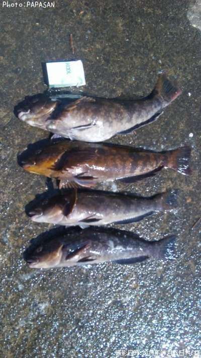 �����ʥ�