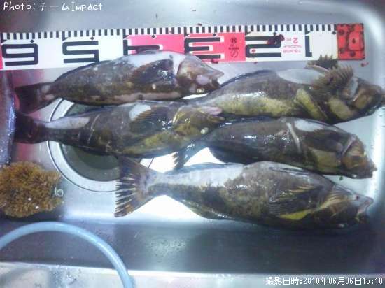 �����ʥ�