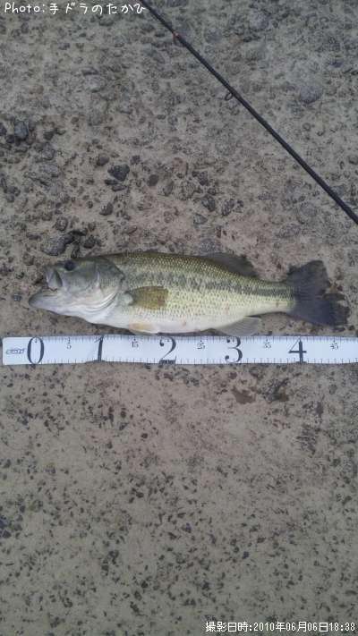 �֥�å��Х�