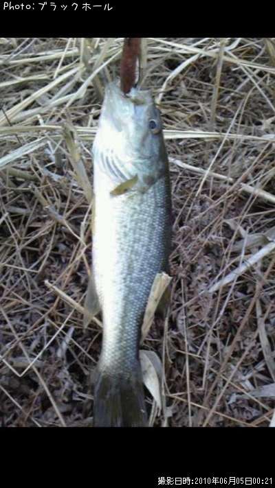 �֥�å��Х�