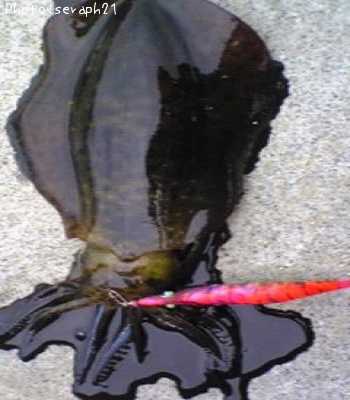 �����ꥤ��