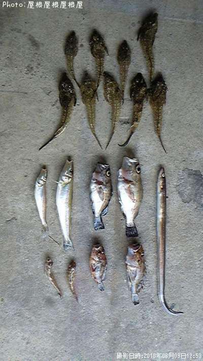 ���������罸��ʾС�