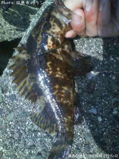 �����Υ���Х�