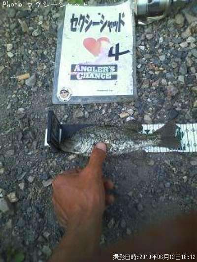 �֥�å��Х�